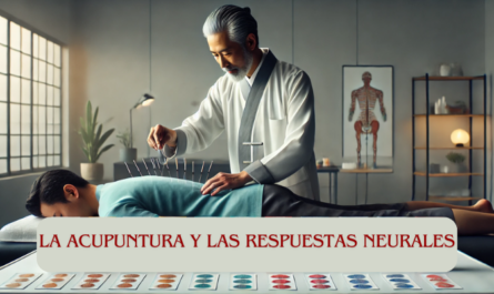 Imagen panorámica de un acupuntor en un entorno clínico, insertando cuidadosamente agujas de acupuntura en la espalda de un paciente. El acupuntor está concentrado y es profesional, y lleva un atuendo médico tradicional. La sala está limpia y bien iluminada, con una mesa de tratamiento en la que el paciente está tumbado boca abajo. En una mesa cercana, claramente visibles, hay varias cajitas y paquetes con la etiqueta «Superparche». El envase del Superparche se parece al diseño que se muestra en la referencia adjunta, con colores vibrantes y una marca moderna. Algunos parches son parcialmente visibles fuera de su envoltorio, lo que sugiere su uso en el tratamiento. El ambiente general es tranquilo y terapéutico, destacando tanto la práctica de la acupuntura como la presencia de los productos Super Patch. https://www.elsuperparche.com/blog/