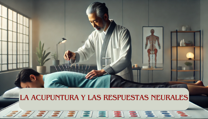 Imagen panorámica de un acupuntor en un entorno clínico, insertando cuidadosamente agujas de acupuntura en la espalda de un paciente. El acupuntor está concentrado y es profesional, y lleva un atuendo médico tradicional. La sala está limpia y bien iluminada, con una mesa de tratamiento en la que el paciente está tumbado boca abajo. En una mesa cercana, claramente visibles, hay varias cajitas y paquetes con la etiqueta «Superparche». El envase del Superparche se parece al diseño que se muestra en la referencia adjunta, con colores vibrantes y una marca moderna. Algunos parches son parcialmente visibles fuera de su envoltorio, lo que sugiere su uso en el tratamiento. El ambiente general es tranquilo y terapéutico, destacando tanto la práctica de la acupuntura como la presencia de los productos Super Patch. https://www.elsuperparche.com/blog/